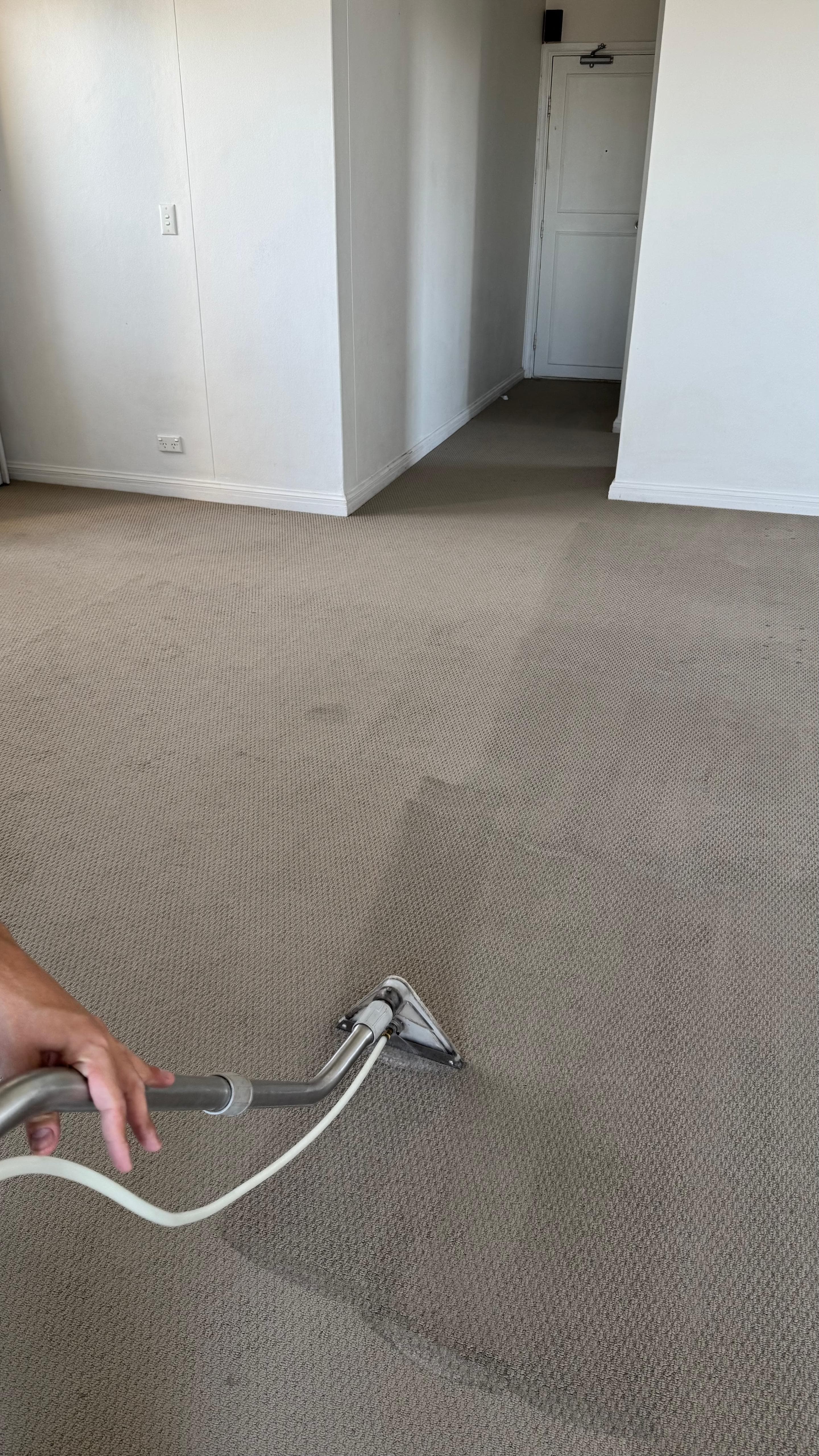 Hot-water extraction carpet clean, end of lease clean in progress