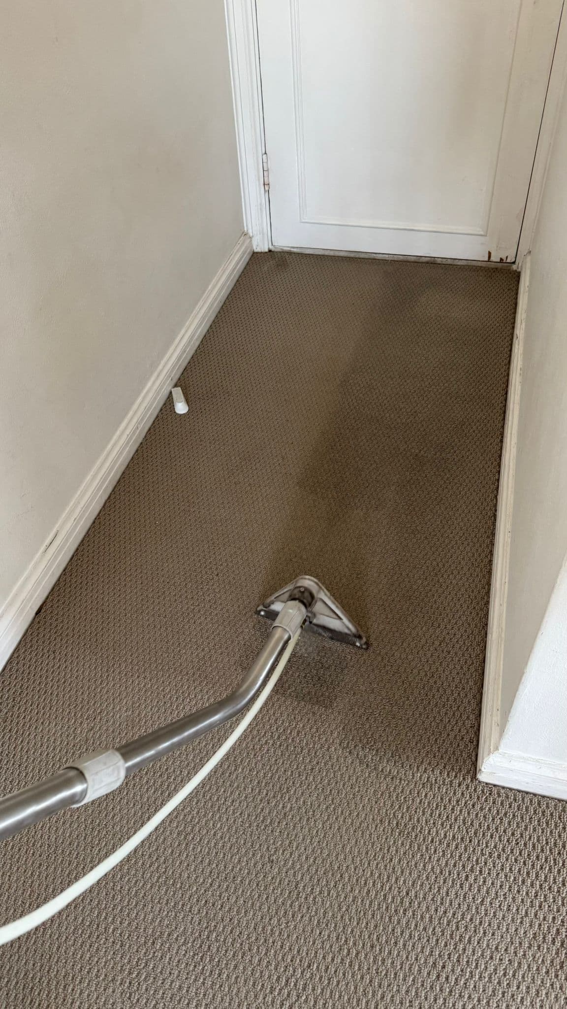 Steam carpet extraction in apartment hallway, end of lease clean