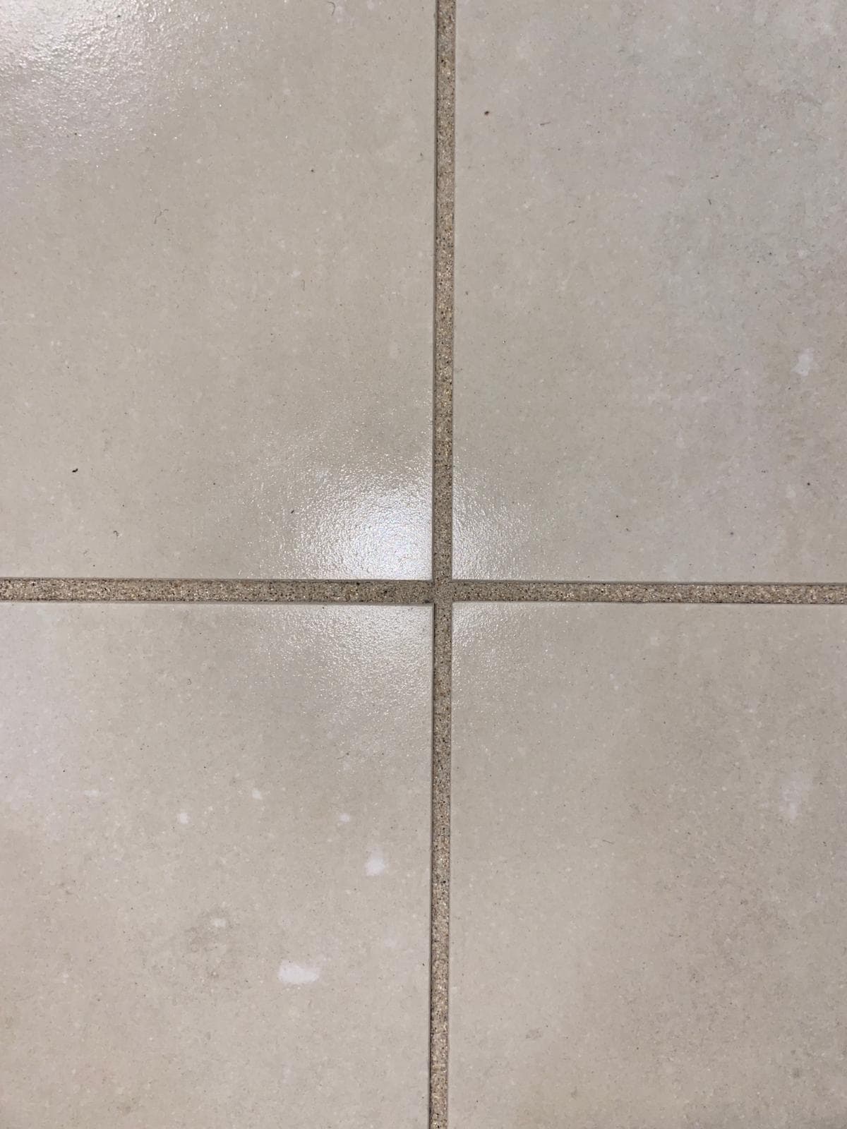 Bathroom floor tiles deep-cleaned, grout lines restored