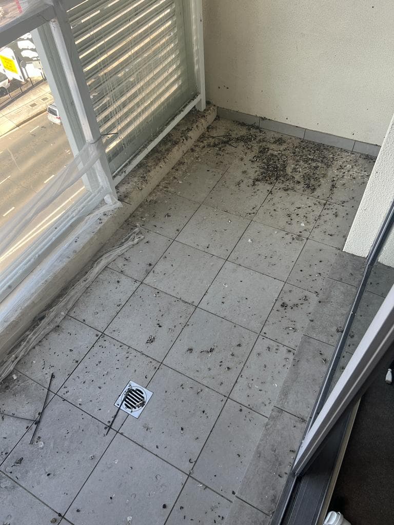 Balcony before ShineMasters, bird dropping build-up removed